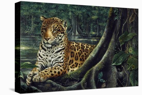 Jaguar by the River-Harro Maass-Premier Image Canvas