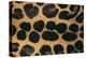 Jaguar Fur-DLILLC-Premier Image Canvas