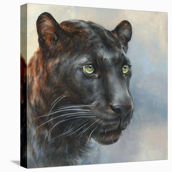 Jaguar Presence-Dina Perejogina-Stretched Canvas