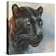 Jaguar Presence-Dina Perejogina-Stretched Canvas