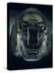 Jaguar-Shaped Receptacle for Hearts of Sacrifice Victims, Templo Mayor, Aztec, Mexico-Kenneth Garrett-Premier Image Canvas