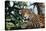 Jaguar Side View, Sitting in a Tree, Close Up-null-Premier Image Canvas