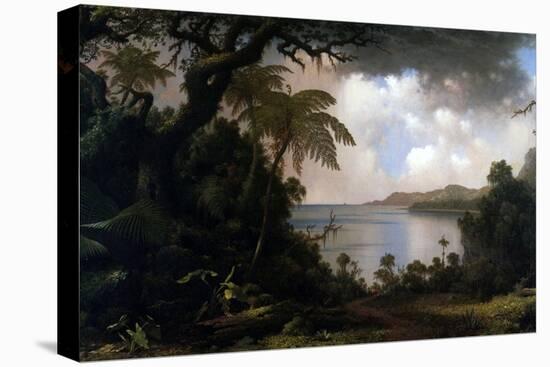 Jamaica, View from Fern-Tree Walk, 1887-Martin Johnson Heade-Premier Image Canvas