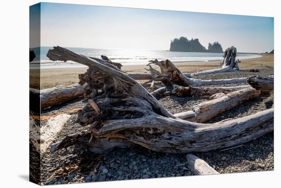 James Island and driftwood on the beach at La Push on the Pacific Northwest, Washington State, Unit-Martin Child-Premier Image Canvas