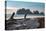 James Island with driftwood on the beach at La Push on the Pacific Northwest coast, Washington Stat-Martin Child-Premier Image Canvas