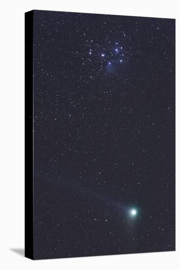 January 6, 2005 - Comet Machholz-null-Premier Image Canvas