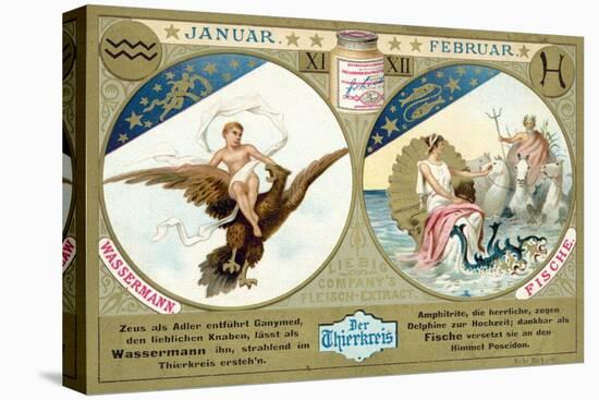 January and February: Aquarius and Pisces-null-Premier Image Canvas