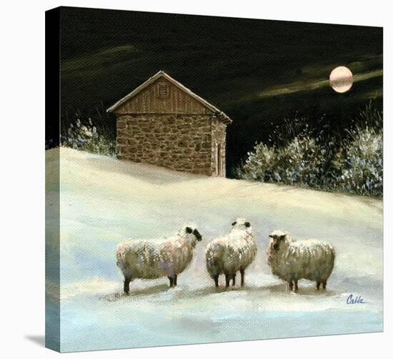 January Fleece-Jerry Cable-Stretched Canvas