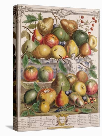 January, from 'Twelve Months of Fruits'-Pieter Casteels-Premier Image Canvas