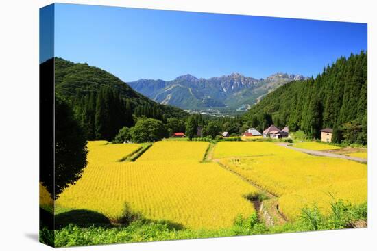 Japan Alps and Rice Field-tamikosan-Premier Image Canvas