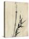 Japan: Bamboo, C1830-1850-Katsushika Hokusai-Premier Image Canvas