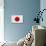 Japan Flag Design with Wood Patterning - Flags of the World Series-Philippe Hugonnard-Stretched Canvas displayed on a wall