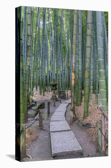 Japan, Kanagawa, Kamakura, Hokokuji Temple Garden-Rob Tilley-Premier Image Canvas