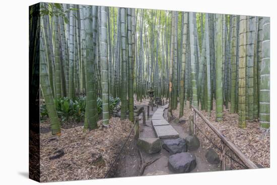 Japan, Kanagawa, Kamakura, Hokokuji Temple Garden-Rob Tilley-Premier Image Canvas