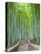 Japan, Kyoto, Arashiyama, Adashino Nembutsu-ji Temple, Bamboo Forest-Steve Vidler-Premier Image Canvas