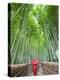 Japan, Kyoto, Arashiyama, Adashino Nembutsu-ji Temple, Bamboo Forest-Steve Vidler-Premier Image Canvas