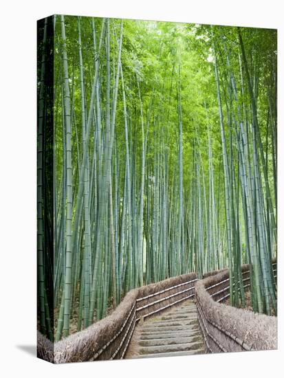 Japan, Kyoto, Arashiyama, Adashino Nembutsu-ji Temple, Bamboo Forest-Steve Vidler-Premier Image Canvas