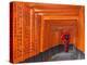 Japan, Kyoto, Fushimi Inari Taisha Shrine, Tunnel of Torii Gates-Steve Vidler-Premier Image Canvas