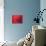 Japan, Kyoto, Higashiyama, Japanese Red Umbrella-Steve Vidler-Premier Image Canvas displayed on a wall
