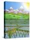 Japan Rice Paddy Field, 1997-Larry Smart-Premier Image Canvas