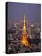 Japan, Tokyo, Roppongi, View of Tokyo Tower and City Skyline from Tokyo City View Tower-Steve Vidler-Premier Image Canvas