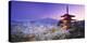 Japan, Yamanashi Prefecture, Fuji-Yoshida, Chureito Pagoda, Mt Fuji and Cherry Blossoms-Michele Falzone-Premier Image Canvas