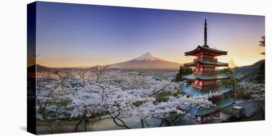 Japan, Yamanashi Prefecture, Fuji-Yoshida, Chureito Pagoda, Mt Fuji and Cherry Blossoms-Michele Falzone-Premier Image Canvas