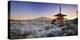 Japan, Yamanashi Prefecture, Fuji-Yoshida, Chureito Pagoda, Mt Fuji and Cherry Blossoms-Michele Falzone-Premier Image Canvas