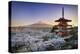 Japan, Yamanashi Prefecture, Fuji-Yoshida, Chureito Pagoda, Mt Fuji and Cherry Blossoms-Michele Falzone-Premier Image Canvas