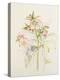 Japanese Anemones-Alison Cooper-Premier Image Canvas