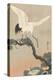 Japanese Crane on Pine Branch, 1900-30-Ohara Koson-Stretched Canvas