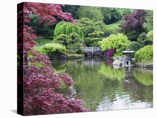 Japanese Garden, Brooklyn Botanical Garden, Brooklyn-Christian Kober-Premier Image Canvas