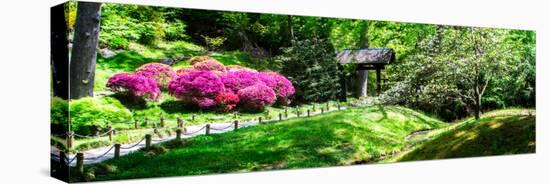 Japanese Garden I-Alan Hausenflock-Stretched Canvas
