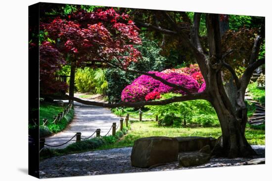 Japanese Garden III-Alan Hausenflock-Stretched Canvas