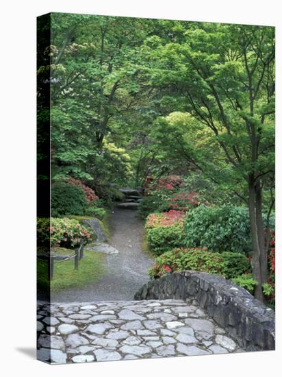 Japanese Garden Stone Bridge in Washington Park Arboretum, Seattle, Washington, USA-Jamie & Judy Wild-Premier Image Canvas