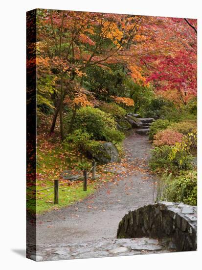 Japanese Garden, Washington Park Arboretum, Seattle, Washington, Usa-Jamie & Judy Wild-Premier Image Canvas