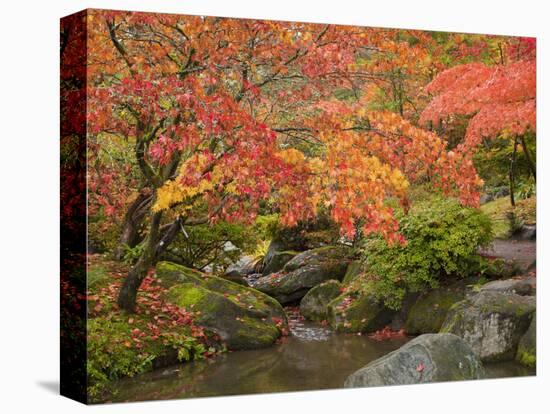 Japanese Garden, Washington Park Arboretum, Seattle, Washington, Usa-Jamie & Judy Wild-Premier Image Canvas