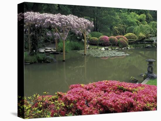 Japanese Garden with Rhododendrons and Wysteria, Seattle, Washington, USA-Jamie & Judy Wild-Premier Image Canvas