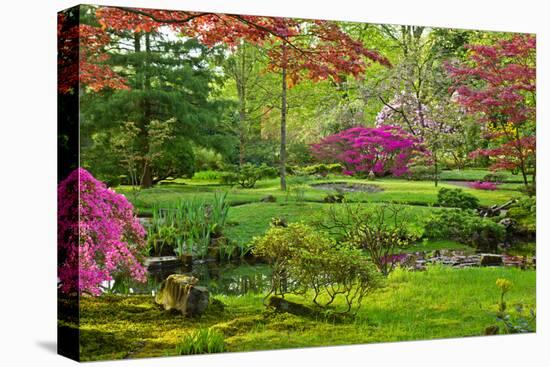 Japanese Garden-neirfy-Premier Image Canvas