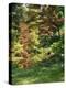 Japanese Garden-Thonig-Premier Image Canvas