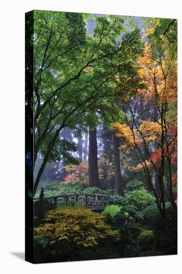 Japanese Gardens III-Brian Moore-Premier Image Canvas