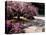 Japanese Gardens in Washington Park, Portland, Oregon, USA-Janis Miglavs-Premier Image Canvas