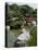 Japanese Gardens, Monte Carlo, Monaco-Ethel Davies-Premier Image Canvas