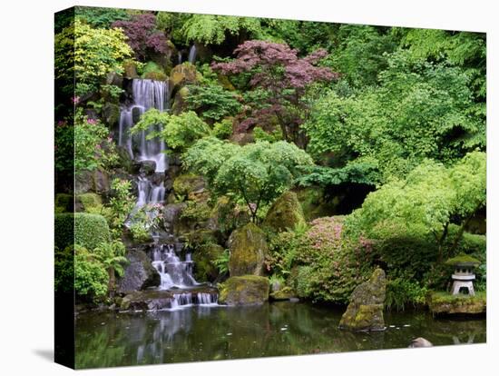 Japanese Gardens Washington Park Portland Oregon, USA-null-Premier Image Canvas