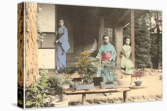Japanese Girls with Bonsai-null-Stretched Canvas