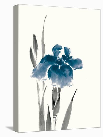 Japanese Iris III Crop Indigo-Chris Paschke-Stretched Canvas