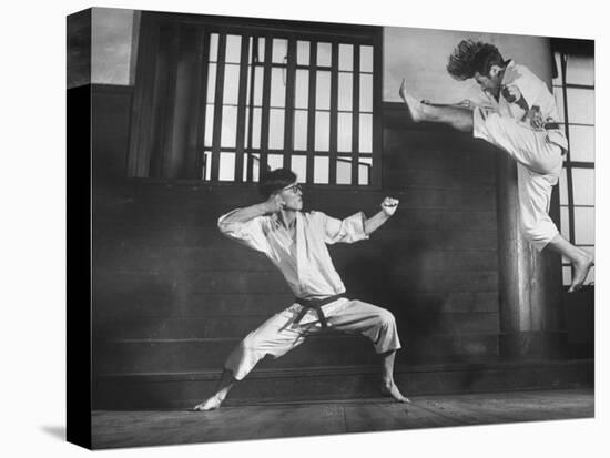 Japanese Karate Students Demonstrating Fighting-John Florea-Premier Image Canvas