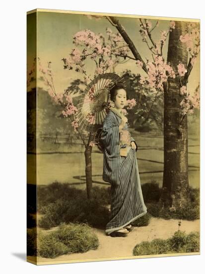 Japanese Lady-null-Premier Image Canvas