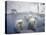 Japanese Macaques Sitting in Hot Spring in Shiga Mountains-Co Rentmeester-Premier Image Canvas