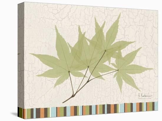 Japanese Maple Colors-Albert Koetsier-Stretched Canvas